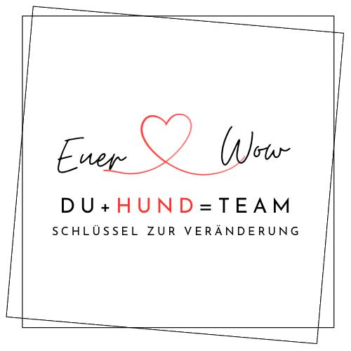 Coaching & Training für Hundeführer
